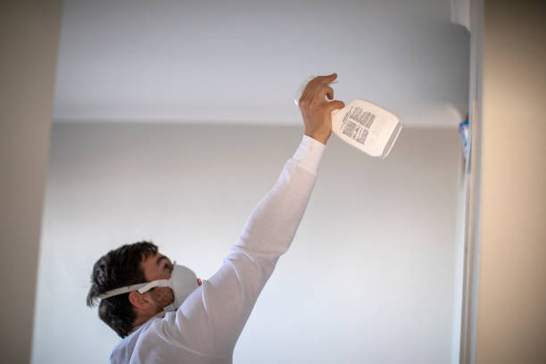 Best Emergency Mold Removal  in Rotonda, FL