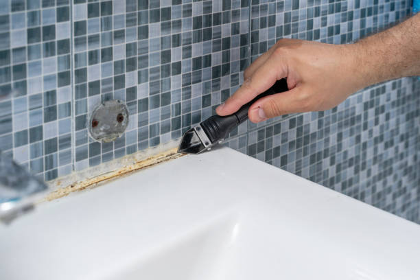 Best Mold Remediation  in Rotonda, FL