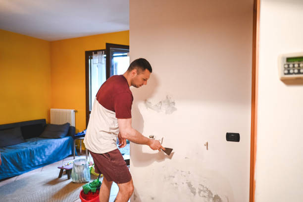 Best Attic Mold Removal  in Rotonda, FL